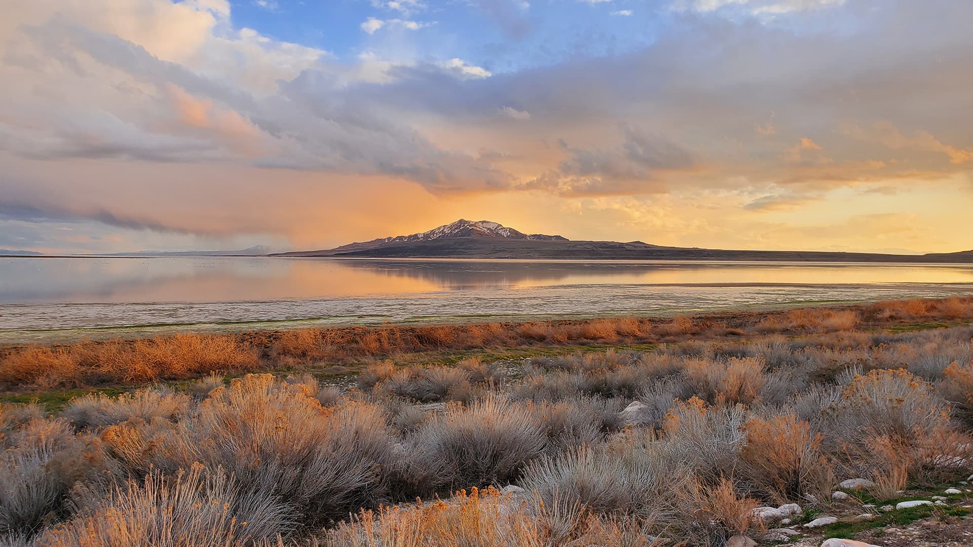 Antelope Island on Great Salt Lake. Credit: Crystal Ross