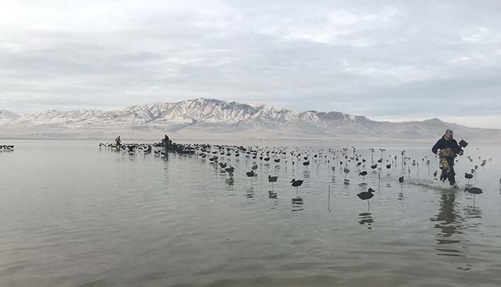 Ducks Unlimited Great Salt Lake Initiative