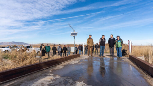 From Lake to Table: $3 Million Investment Helps Track Great Salt Lake’s Future 